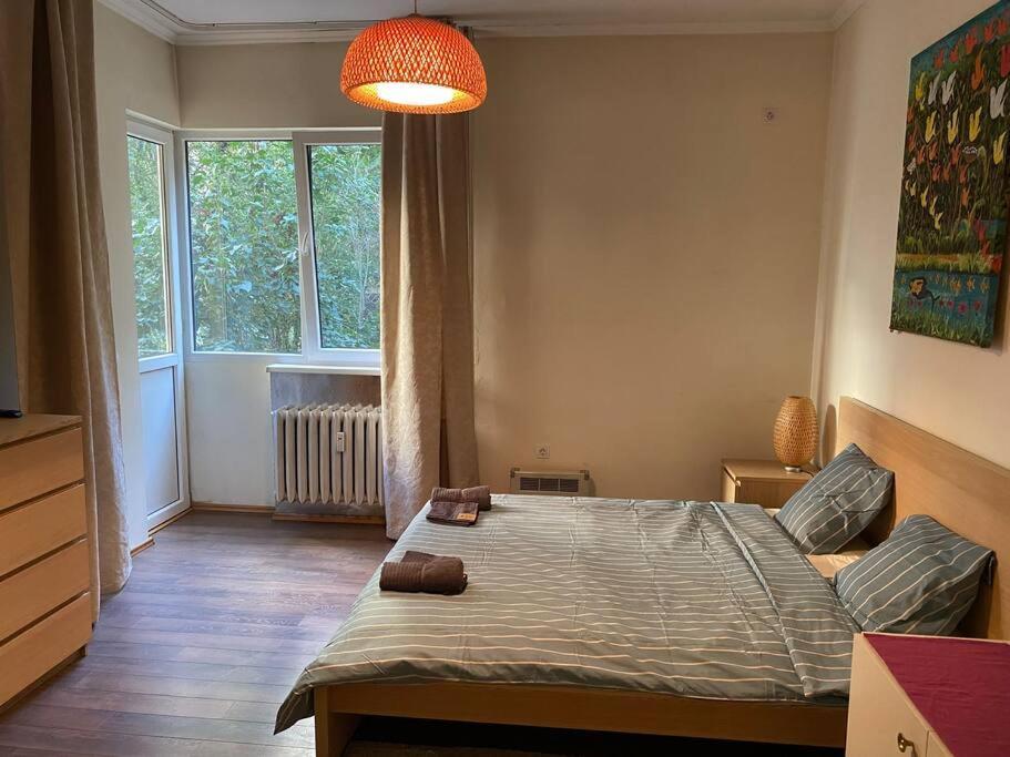 Opera Apartment 2 With Wifi & Tv Szófia Kültér fotó
